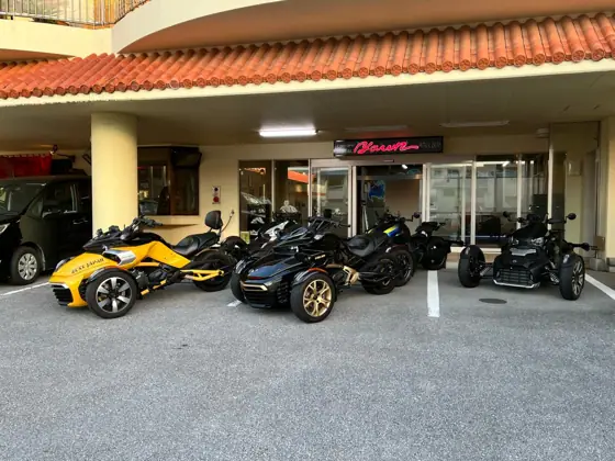 yawn Rental Trike