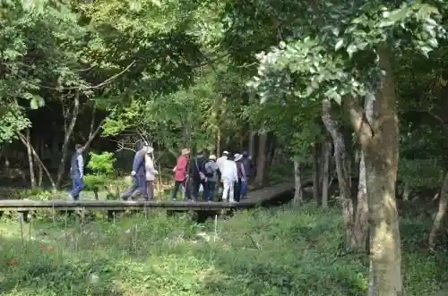 Kizuna Forest Walking Path
