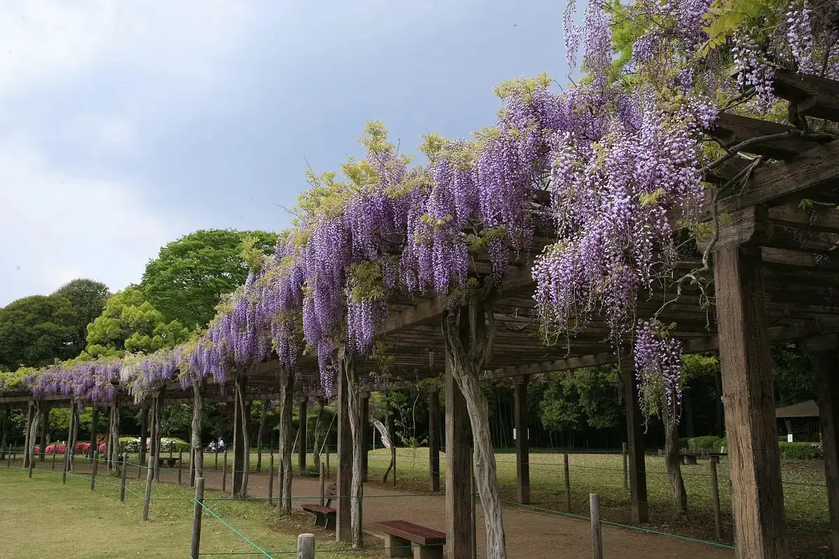 Gunma Prefectural Tataranuma Park