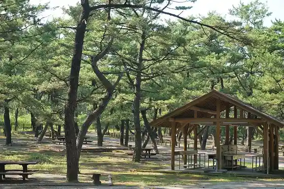 Kuni-no-Matsubara Campground