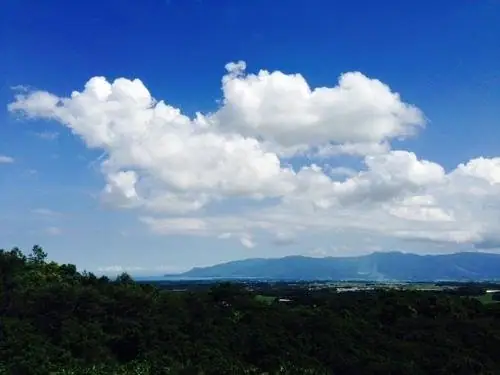 Four Seasons Forest Pillboxes