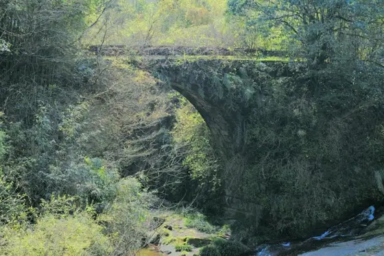 Setomabushi Bridge