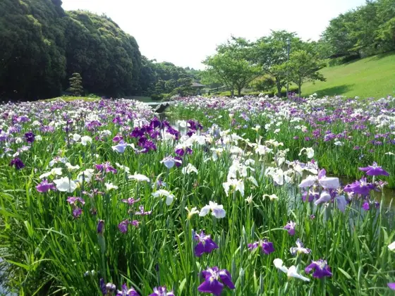 Fureai no Sato Park Japanese Garden