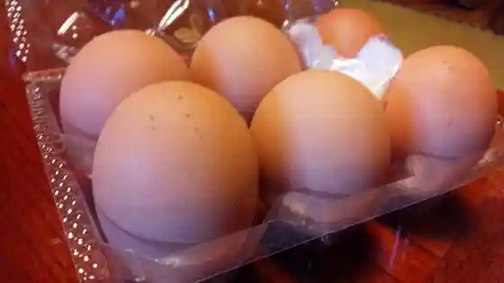 吹上食堂