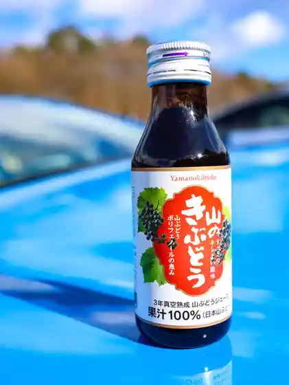 ゆの駅 しんとろ