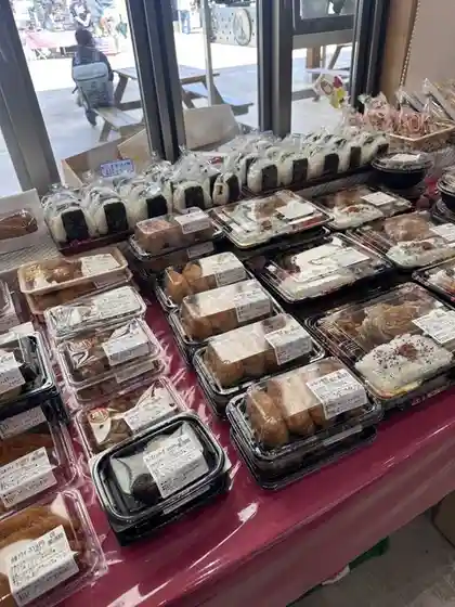 道の駅 おおさき