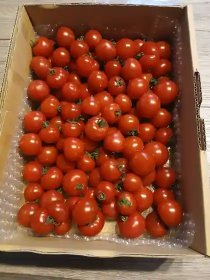 産直トマト無人販売所センター