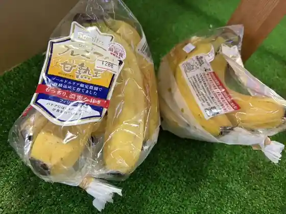 菊池屋
