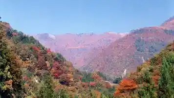 Oshika Kyo