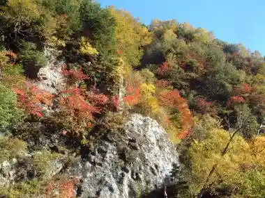 Tori Kurabayashi Michi