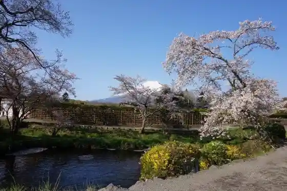 Oshino Hakkai