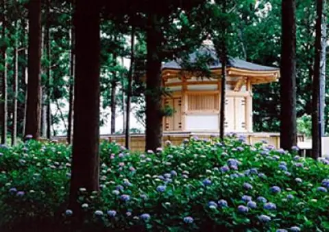 Tateyama Historical Park (Iwayado Castle Honmaru Ruins)
