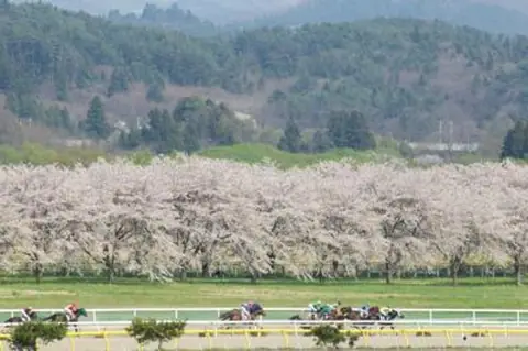 Mizusawa Racecourse