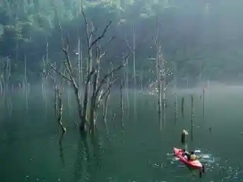 Nature Mizumi