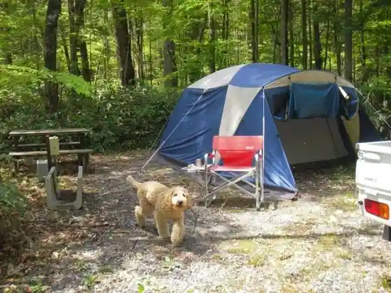 Ontake Mori Kichi Oto Campground