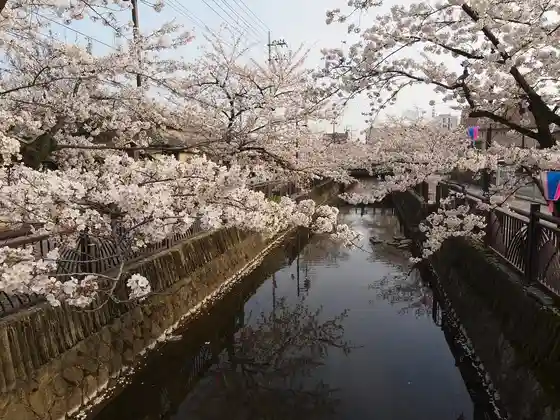 Yase River