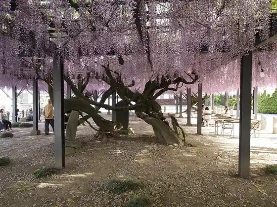 Shomyoji Temple (Sorimachi Residence Site)