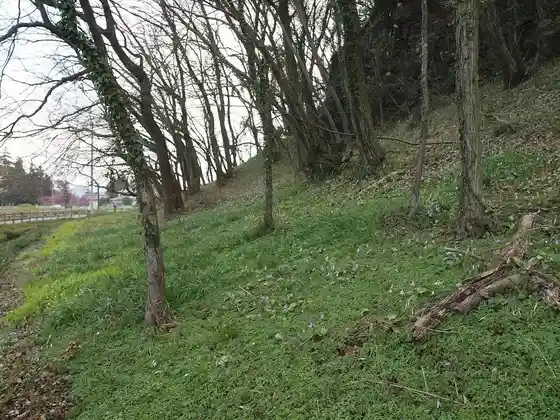 Maruyama Yakushi
