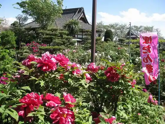 Daikeiji Temple