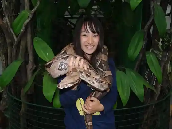 Japan Snake Center
