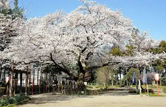 Serada Toshogu Shrine