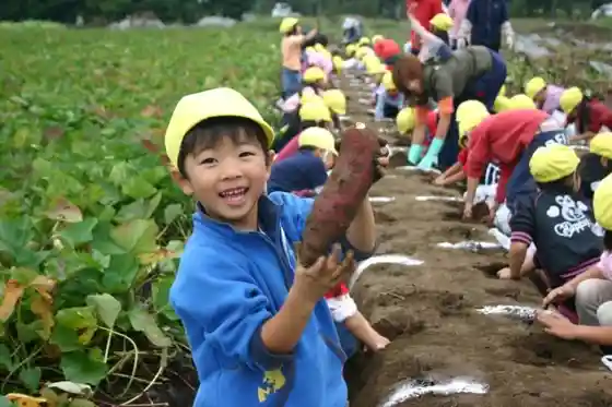 Poppo Farm
