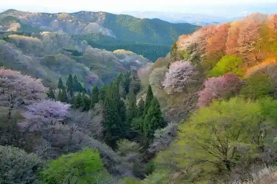 Mount Oteyama