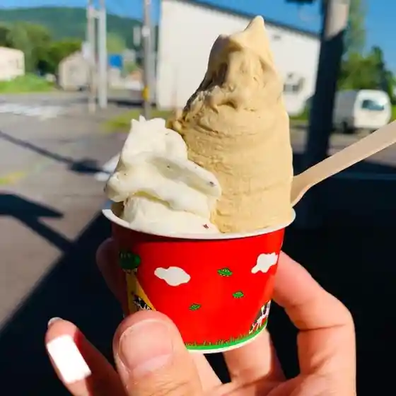 Gelateria the GreenGrass