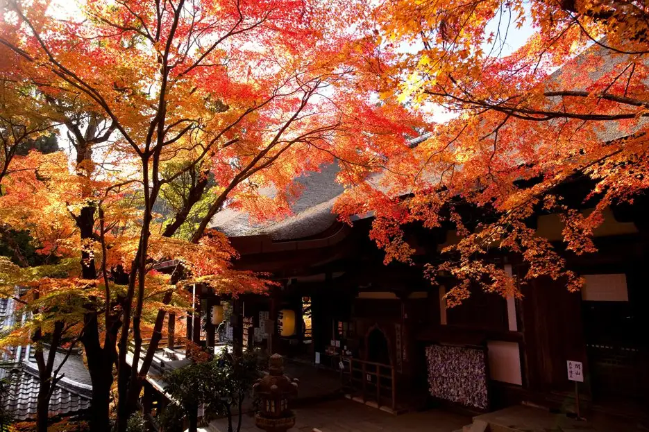 Ishiyamadera
