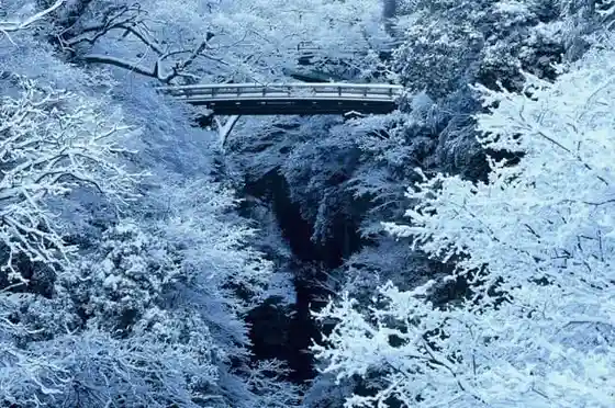 Saruhashi Bridge
