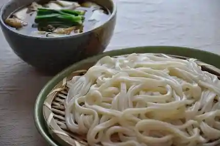 Fujiemon Handmade Dipping Udon