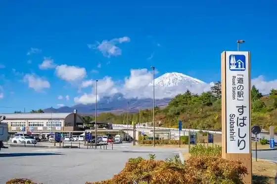 Roadside Station
