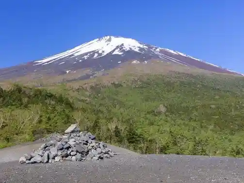 Sho Fuji