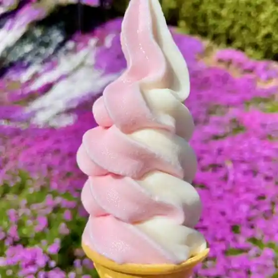 ひがしもこと芝桜公園売店