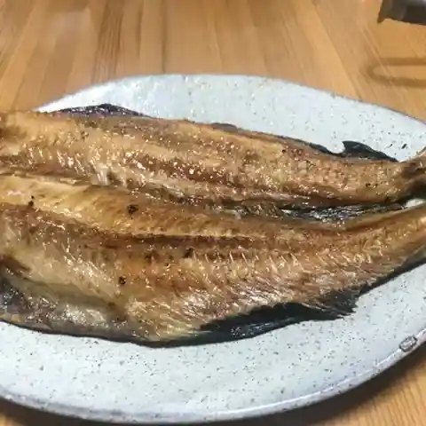 やきとり 蛍