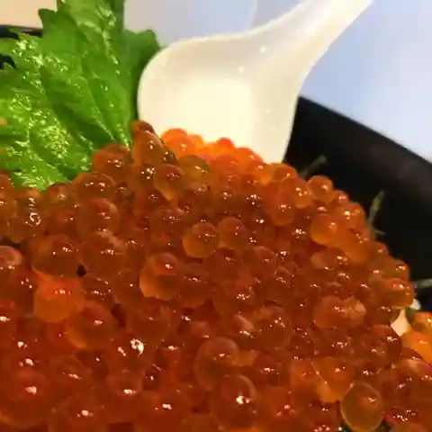 陽だまりレストラン