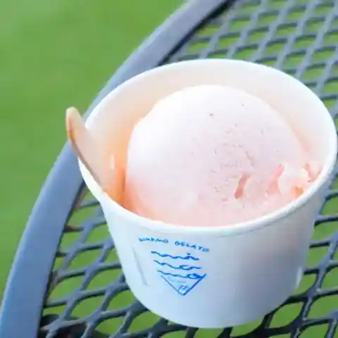 MINAMO GELATO