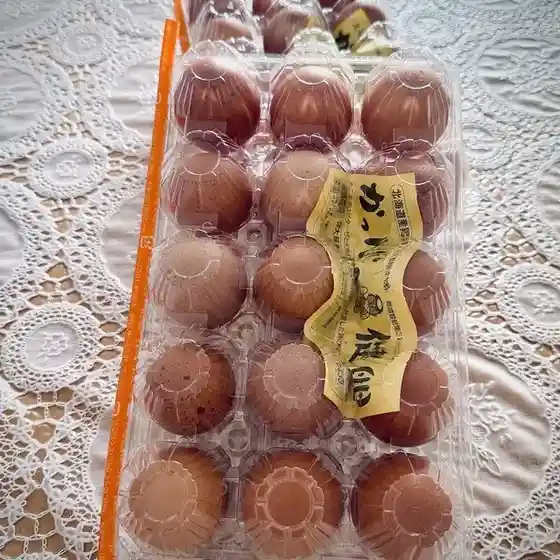 かっぱの健卵販売所