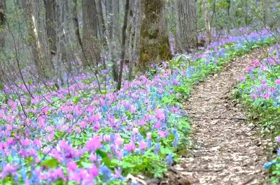 Totsu Sho Mountain
