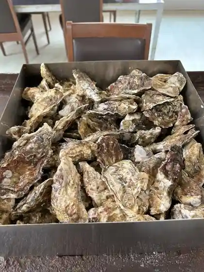 かき焼処