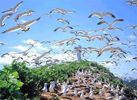 Tsubakishima Island