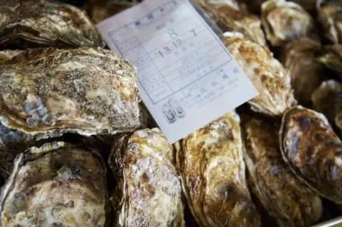 Oyster Hut Hirota Bay