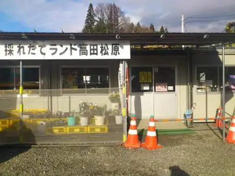 Toretate Land Takata Matsubara