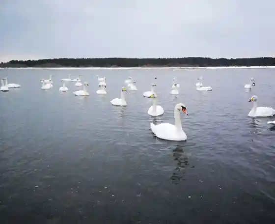 Osame Lakeside Park