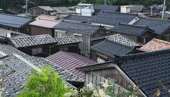 Shukunegi