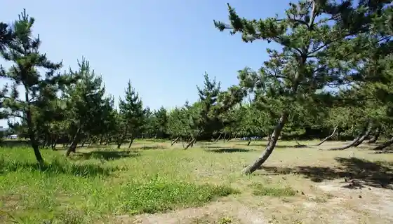 Kubota Campground
