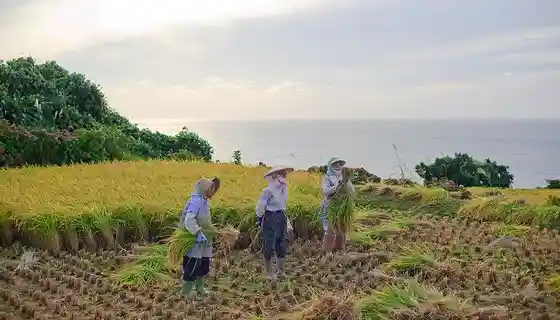 Kita Katahotori Tanada