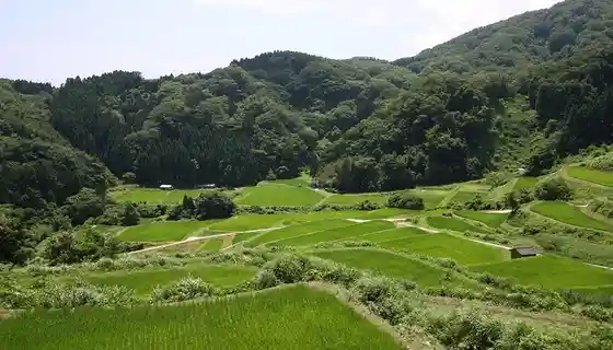 Katano O Tanada