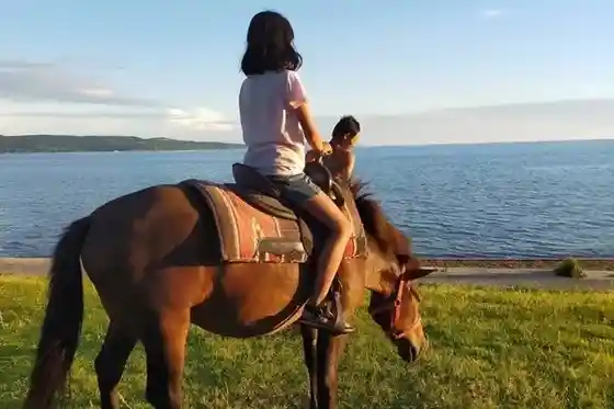 Beach Riding Umi De Joba Taiken !
