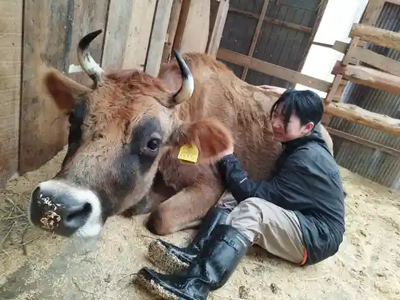Oyako Ni Osusume ! Mori no Naka no Chiisa Na Ranch Dobutsu Fureai Experience